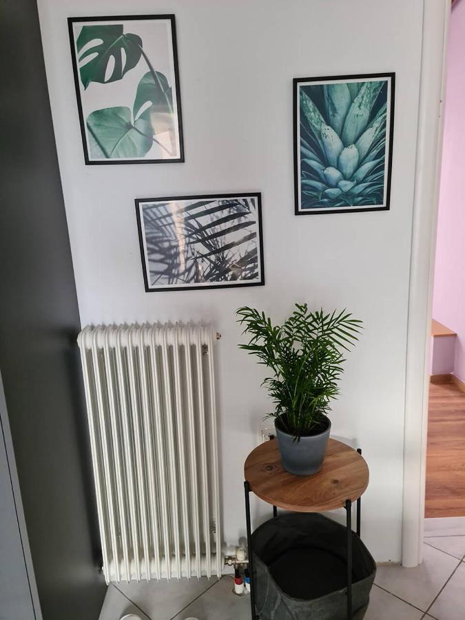 יואנינה Comfy Urban Apartment מראה חיצוני תמונה
